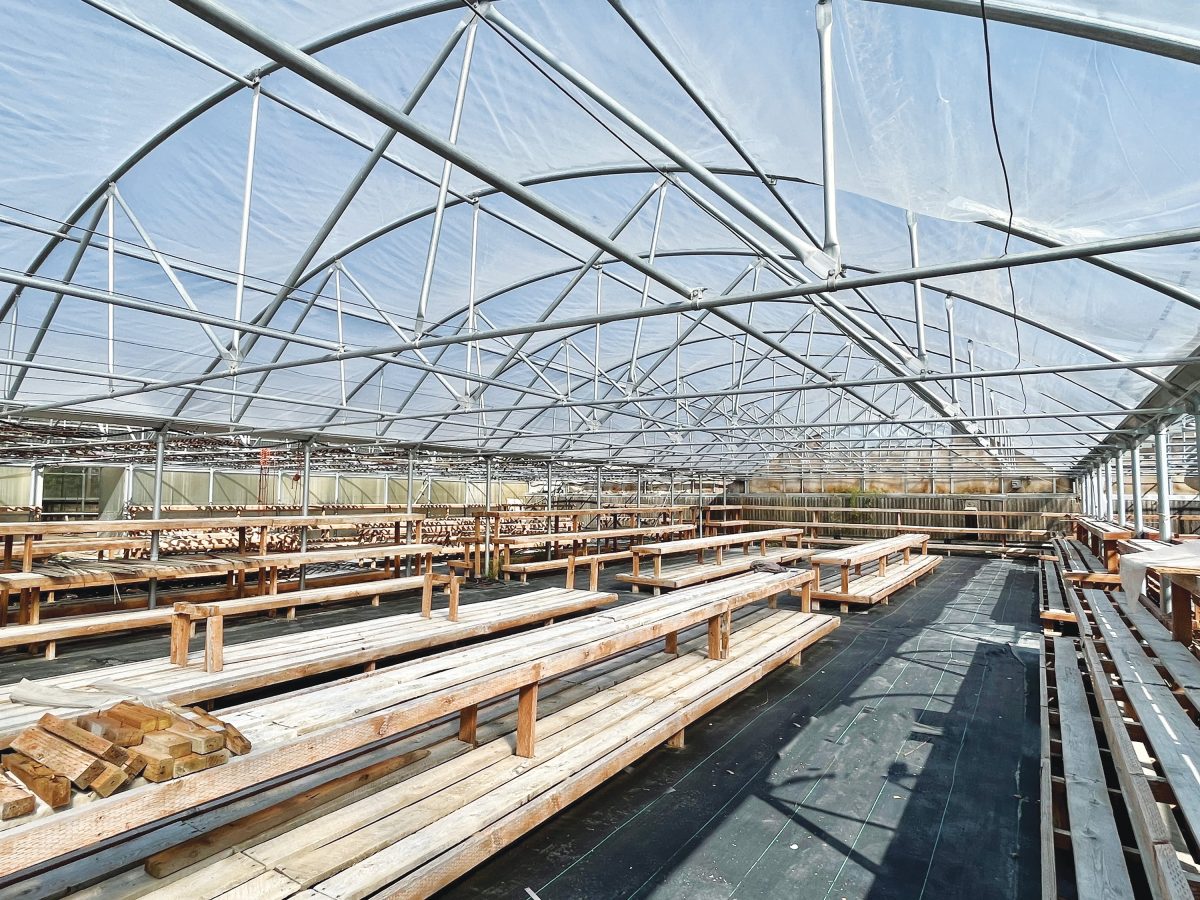 250 Mill Road Montana Commercial Real Estate